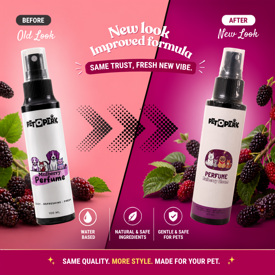 Mulberry Perfume